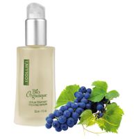 GM Collin  on white background