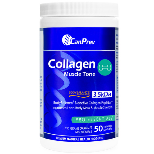 CanPrev Collagen Muscle Tone Powder, 250g/8.8 oz CanPrev Collagen Muscle Tone Powder on white background