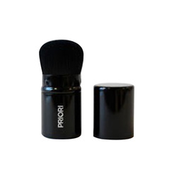 Kabuki Brush on white background