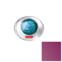 Pupa  on white background