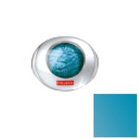 Pupa  on white background