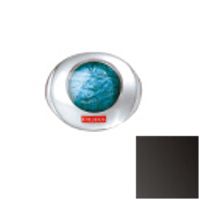 Pupa  on white background