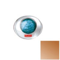 Pupa  on white background