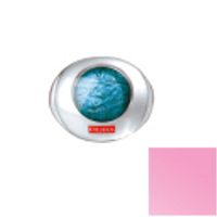 Pupa  on white background