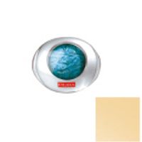 Pupa  on white background