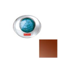 Pupa  on white background