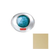 Pupa  on white background