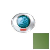 Pupa  on white background