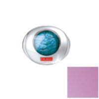 Pupa  on white background