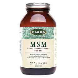 MSM Powder on white background