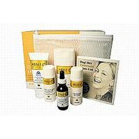 C RX Starter Set on white background