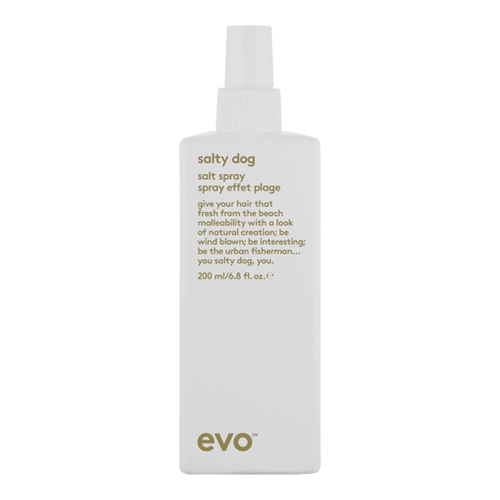Evo Salty Dog Salt Spray, 200ml/6.8 fl oz Evo Salty Dog Salt Spray on white background