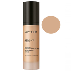 Vitamin C Brightening Matte Foundation - 01 on white background