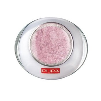 Pupa  on white background