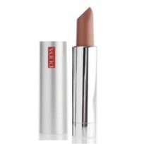 Pupa  on white background