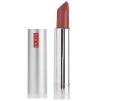 Pupa  on white background