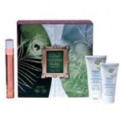 Thalgo  on white background