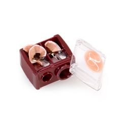 Anastasia Sharpener on white background