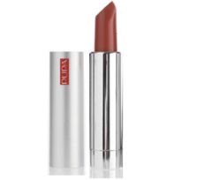 Pupa  on white background